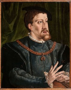 查理五世皇帝的肖像，1500-1558年。 作者 扬·科内利兹。维迈恩