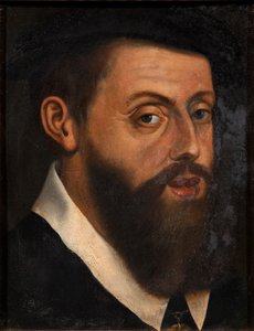 查理五世皇帝的肖像1500-1558年 作者 扬·科内利兹。维迈恩
