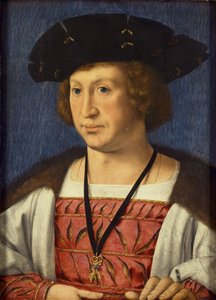 Floris van Egmond 1469-1539，布伦伯爵，1536年 作者 扬·高萨特（Jan Gossaert）