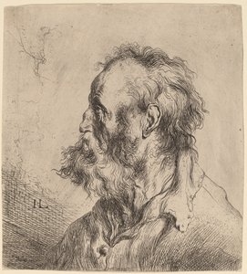 大胡子老人半身像 作者 扬·利文斯（Jan Lievens）