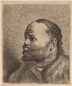 厚唇男子半身像 作者 扬·利文斯（Jan Lievens）