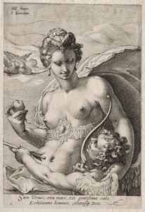 金星和丘比特c。 1595。 作者 扬·萨恩雷丹（Jan Saenredam）
