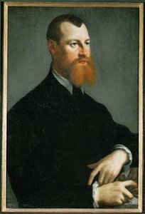 红胡子男子肖像（布面油画） 作者 扬·斯蒂芬·卡尔卡（Jan Stephen Calcar）