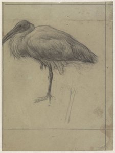 Landschap Buitenzorg 作者 简维特
