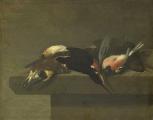 死鸟 作者 扬·冯克