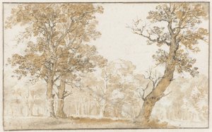 海牙森林 作者 扬·德·比绍普（Jan de Bisschop）