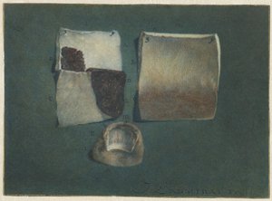 人体皮肤和指甲解剖学研究 作者 德克·哈克 (II)
