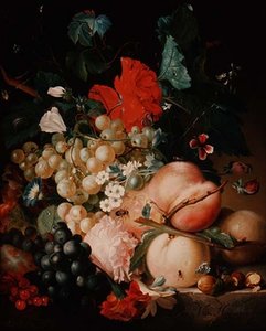 大理石基座上的混合花和水果与昆虫 作者 扬·范·休森（Jan van Huysum）