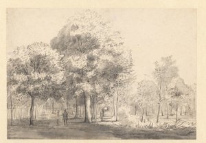 哈勒姆 Haarlemmerhout 景观 作者 扬·范·凯塞尔（归因于）