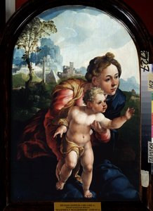 圣母与圣婴绘画作者：扬-凡-斯科雷尔（1495-1562 年）。木板油画，66 x 45 厘米