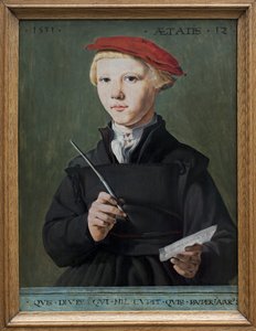 一个年轻的男生的画像。 扬·范·斯科雷尔 (1495-1562) 的画作，木头油彩