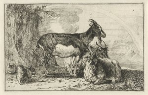 地理
Dieren （系列名称）
Zoographiam （系列名称）