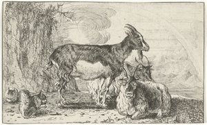 地理
Dieren （系列名称）
Zoographiam （系列名称）