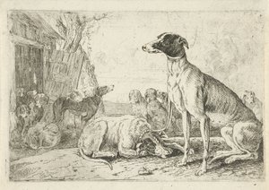 狗舍
Dieren (系列名称)
Zoographiam （系列名称）