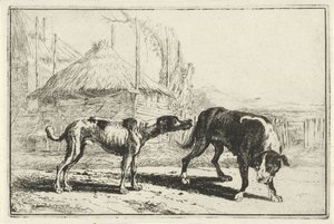 Reu en teef
Dieren（系列名称）
Zoographiam （系列名称）