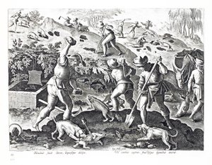 挖掘并捕获獾，插图来自&39;Venationes，Ferarum，Avium，Piscium&39;（狩猎：野兽，鸟类，鱼类），由Jan Collaert（1566-1628）雕刻，酒吧。作者：Phillipus Gallaeus，Ams 作者 扬·范德·斯特雷特