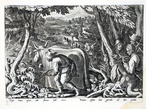 狩猎椋鸟和鹧,,插图来自&39;Venationes，Ferarum，Avium，Piscium&39;（狩猎：野兽，鸟类，鱼类），由Jan Collaert（1566-1628）雕刻，酒吧。作者：Phillipus Gallaeus，A 作者 扬·范德·斯特雷特