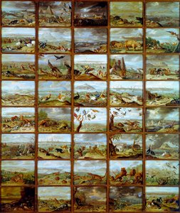 动物表显示了对应于不同动物物种的隔间。 Jan Van Kessel (1626-1679) 绘画，17 世纪马德里，普拉多博物馆