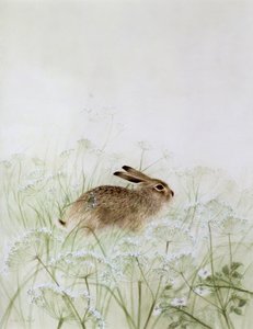 兔子 作者 简·内维尔