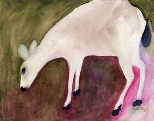 来自阿纳科特斯的鹿，约2018年（纸上水彩画）