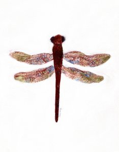 溪边小道上的蜻蜓，约 2019 年（纸本水彩画）