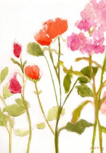 橙色和粉色玫瑰花，约 2024 年（纸面水彩和酪蛋白） 作者 贾内尔·布拉格