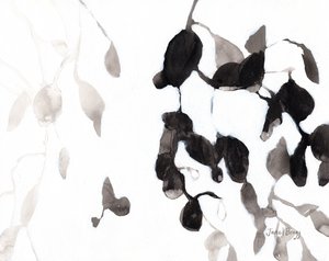  作者 贾内尔·布拉格