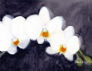 兰花白色蝴蝶兰，约 2021 年（纸面水彩和酪蛋白）