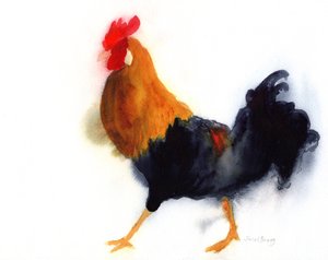 可爱岛莱德盖特公园的公鸡，约2019年（纸上水彩）