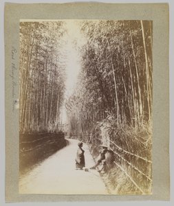 穿过竹林的道路，日本（黑白照片） 作者 日本摄影师