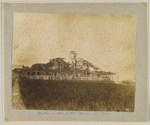 日本京都附近琵琶湖岸边的树木（黑白照片） 作者 日本摄影师