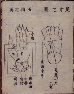 16029.b.5 fol.15v 手足穴位示意图，摘自日本对中国针灸著作《十三经法会》的注释，1341 年，华寿，京都 作者 日本学校