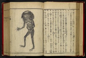 16084.d.15, f.24 A Neneko Kappa，选自 Akamatsu Sōtan 的《Tonegawa Zushi》，1855 年出版（木刻）。 作者 日本学校