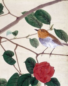 鸟和花。 19 世纪后期，Riou Chim 的日本绘画。 作者 日本学校