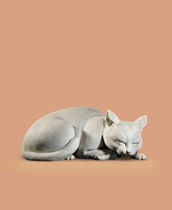 猫，江户后期-明治初期 作者 日本学校