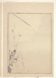 菊花（彩色木刻版画）（另见 374402） 作者 日本学校