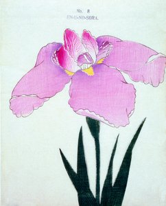 En-U-no.-Sora，1898年8月