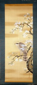 日本樱花树枝上的猎鹰盛开。 18世纪日本的丝绸画。 热那亚。 基奥松博物馆。 作者 日本学校