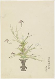 Takada Anritsub的插花？无尽，鸢尾花（手工彩色木版画） 作者 日本学校