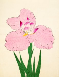 Gaisen No. 90,1890 作者 日本学校