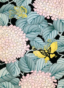 绣球花和蝴蝶 作者 日本学校