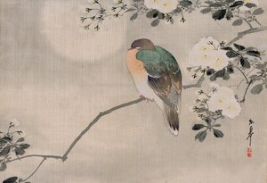 日本丝绸木鸽画 作者 日本学校