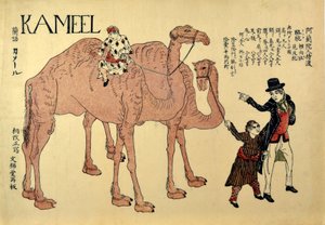 骆驼，酒吧。 1821年（彩色木刻） 作者 日本学校
