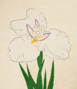 Kamimado-No-Tsuki，No。65,1890（彩色木版画） 作者 日本学校