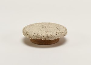 十九世纪末至二十世纪初的茶叶储物罐的嘴盖 作者 日本学校