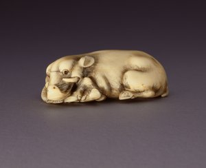 Netsuke描绘了斜倚的野猪，c。 1750-80（narwahl horn）（另见210190） 作者 日本学校