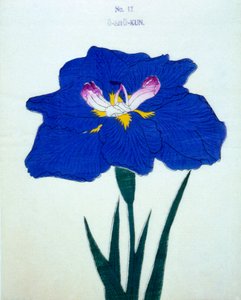 O-Sho-Kun，1898年第12期