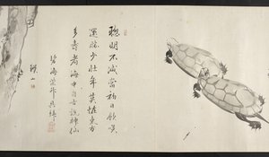 或14872，f.36，两只乌龟，出自吉田清斋（手卷） 作者 日本学校