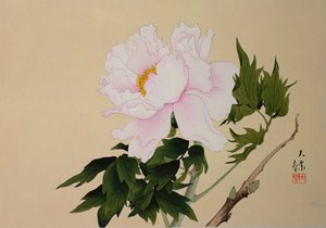 牡丹，酒吧。 1950年 作者 日本学校