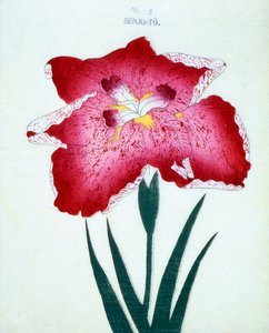 Senjo-To，no.5,1898